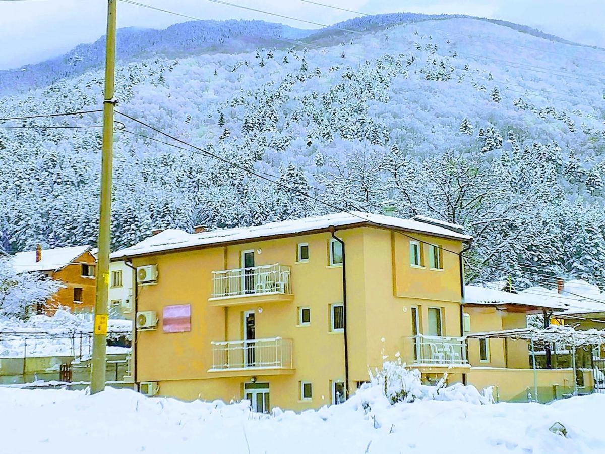 Guest House Tedi Сапарева-Баня Экстерьер фото