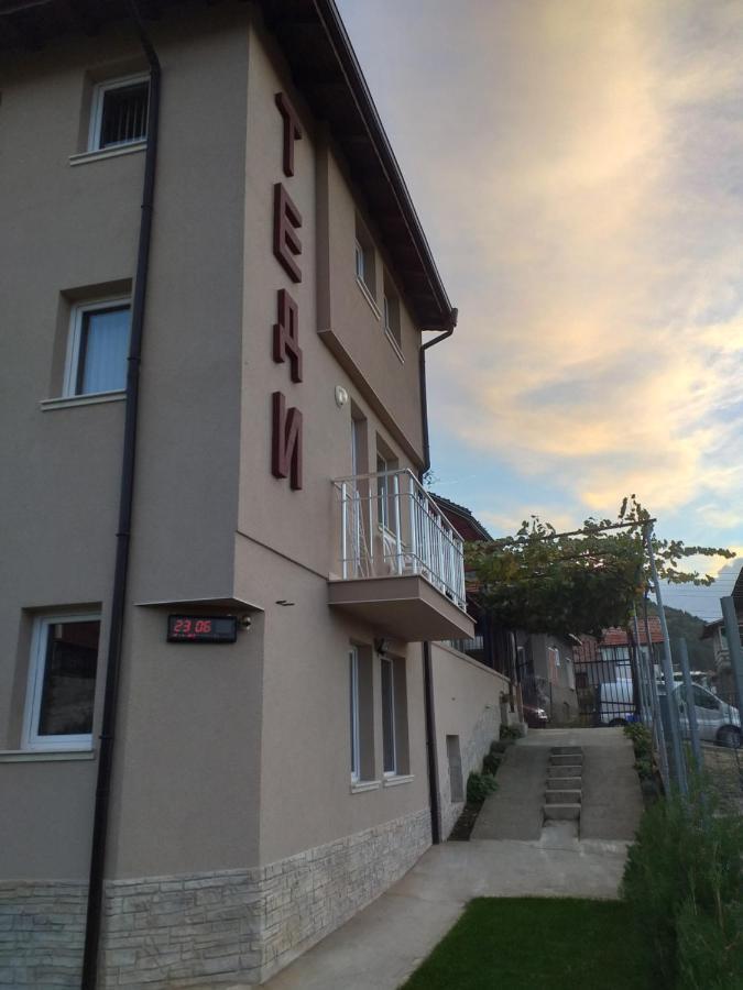 Guest House Tedi Сапарева-Баня Экстерьер фото